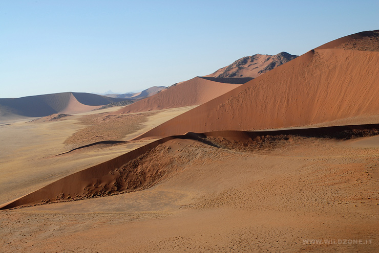 Dune del Namib
