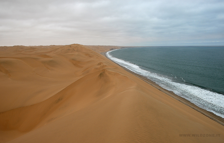 Sand dune sea